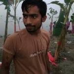 Radhey Ray Profile Picture