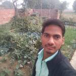 amitthakur564 Profile Picture