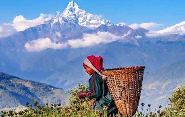 Viaje a india y nepal