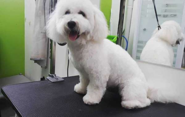 Dog Grooming Mascot-Puppy Playground