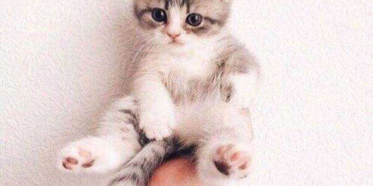 Jahri Evans sees big opportunity on Packers offensive line