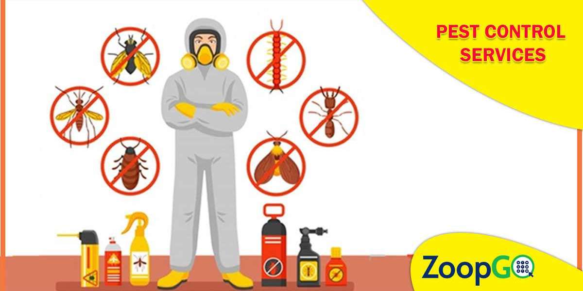 How to get rid bed bugs at home?