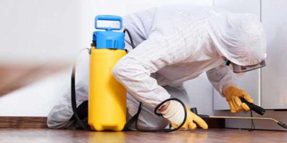 Kammerjäger ist bei Menschen beliebt