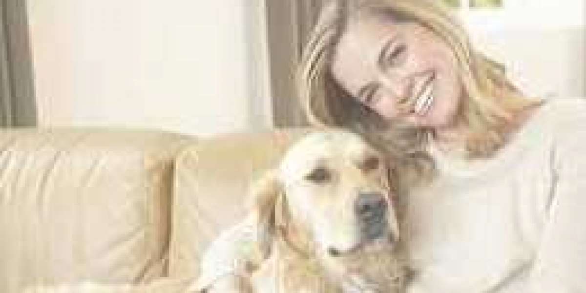 Pet Friendly Treatment Centers – Avoid Scam Services