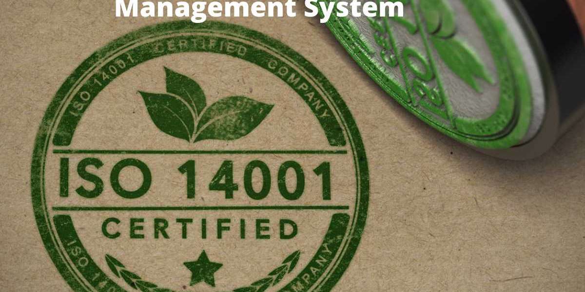 ISO 14001 Certification in Doha