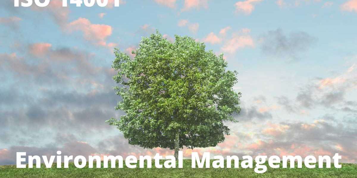 ISO 14001 cost in Kuwait