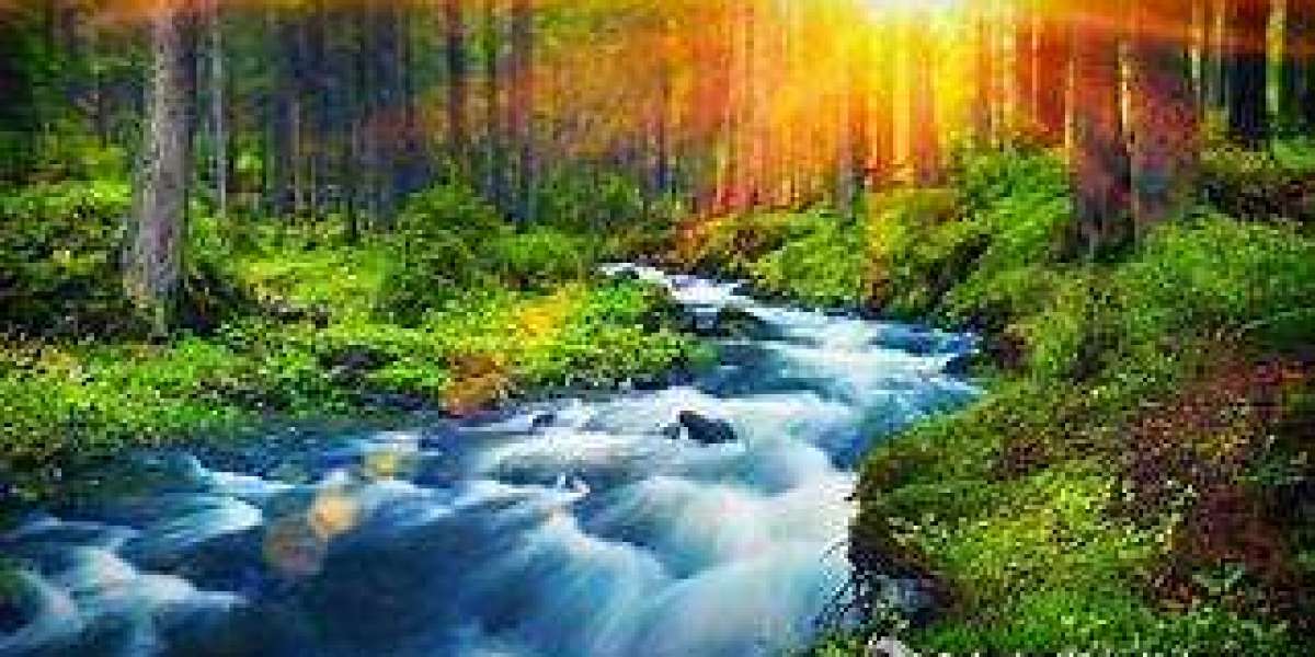 how to do hanging indent on google docs