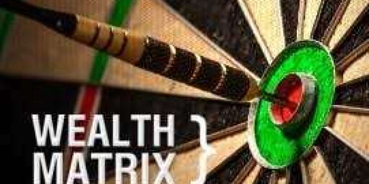 How Does Wealth Matrix Work?