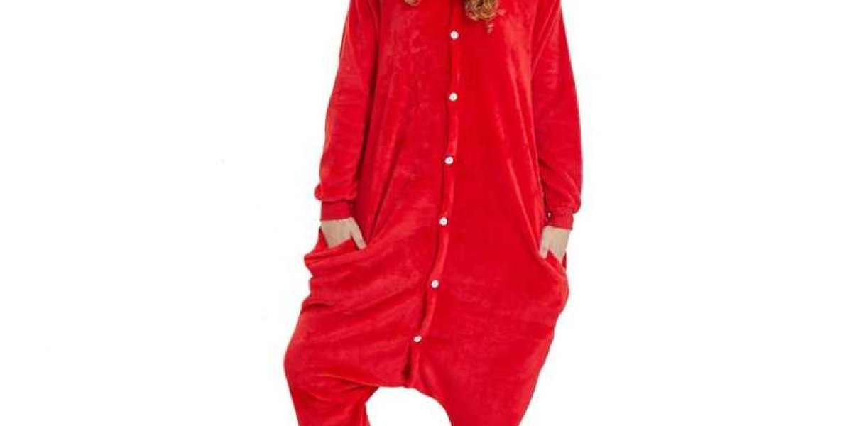 Animal Onesies For Adults - What to Give That Special Someone?