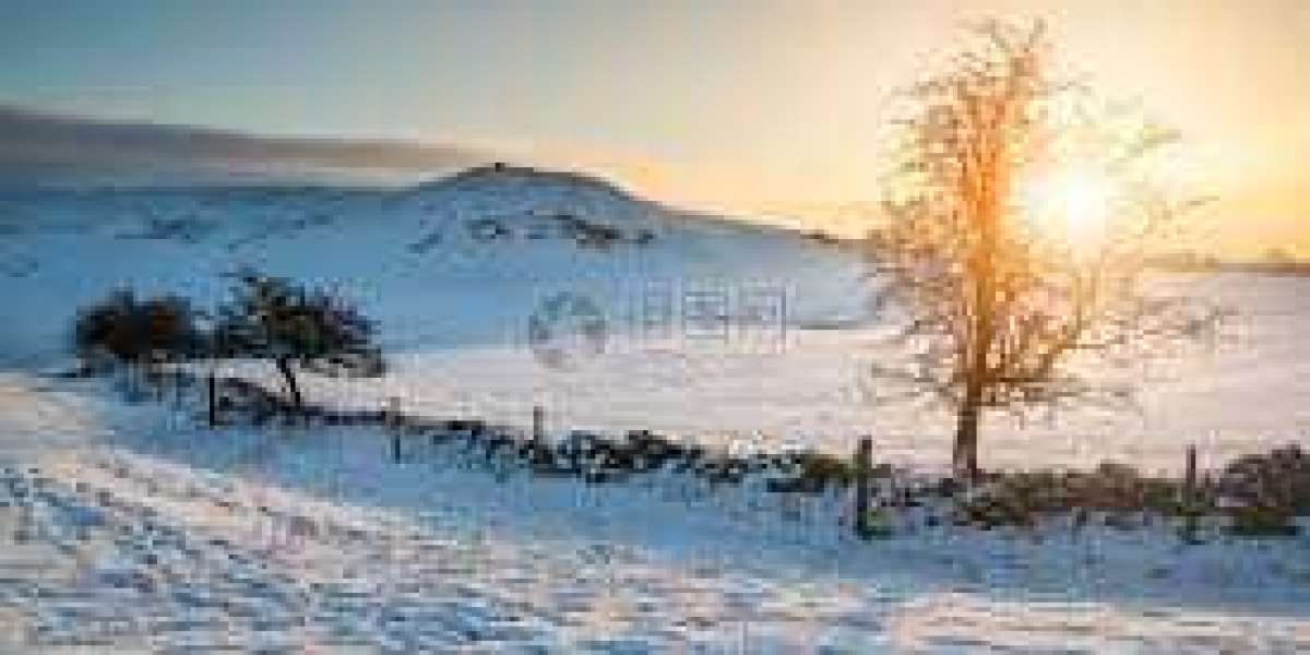 Reacts: Maximum experience there need to be a bubble for the MLB Playoffs