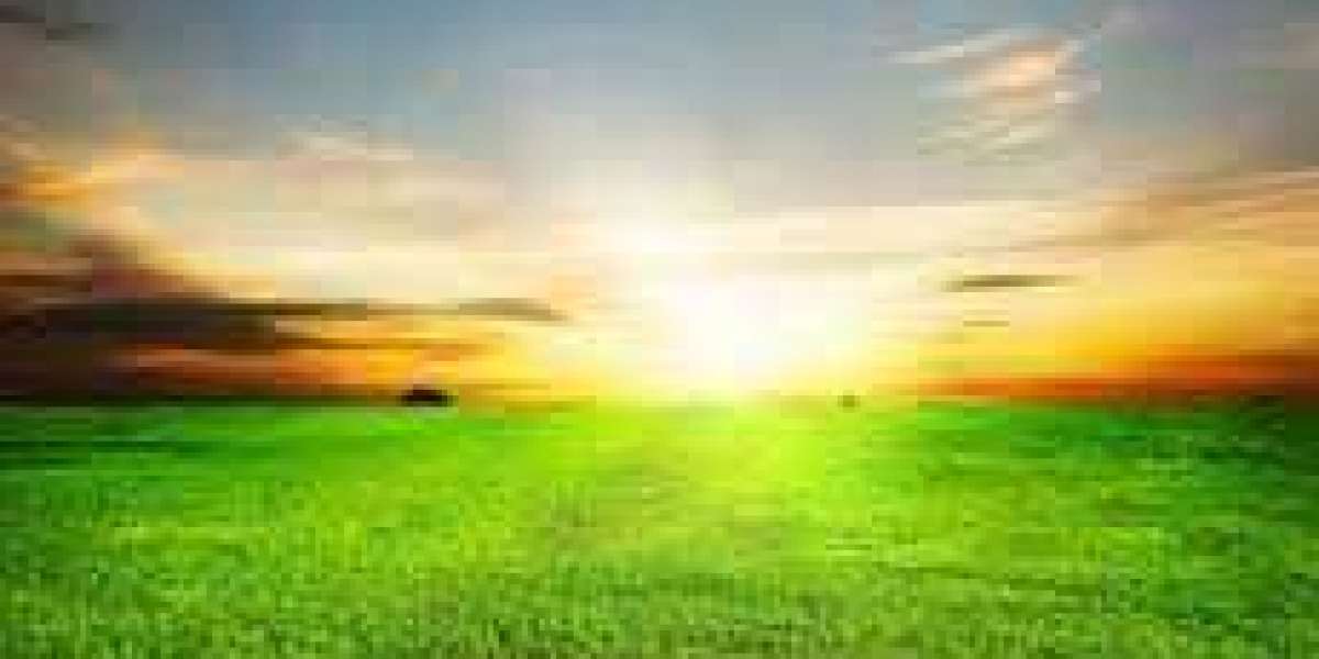 World wide Collection Preview: How in the direction of fight Clayton Kershaw