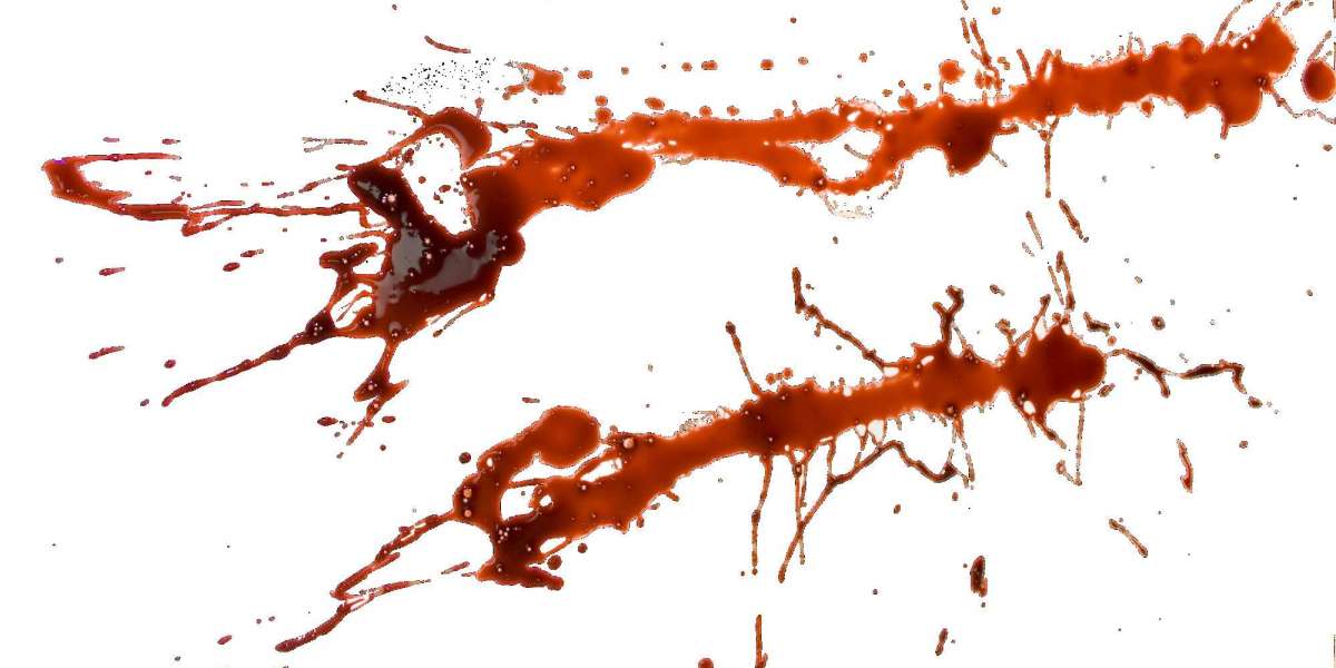 Online Casino Guide - What is the Most Trusted Online Casino?