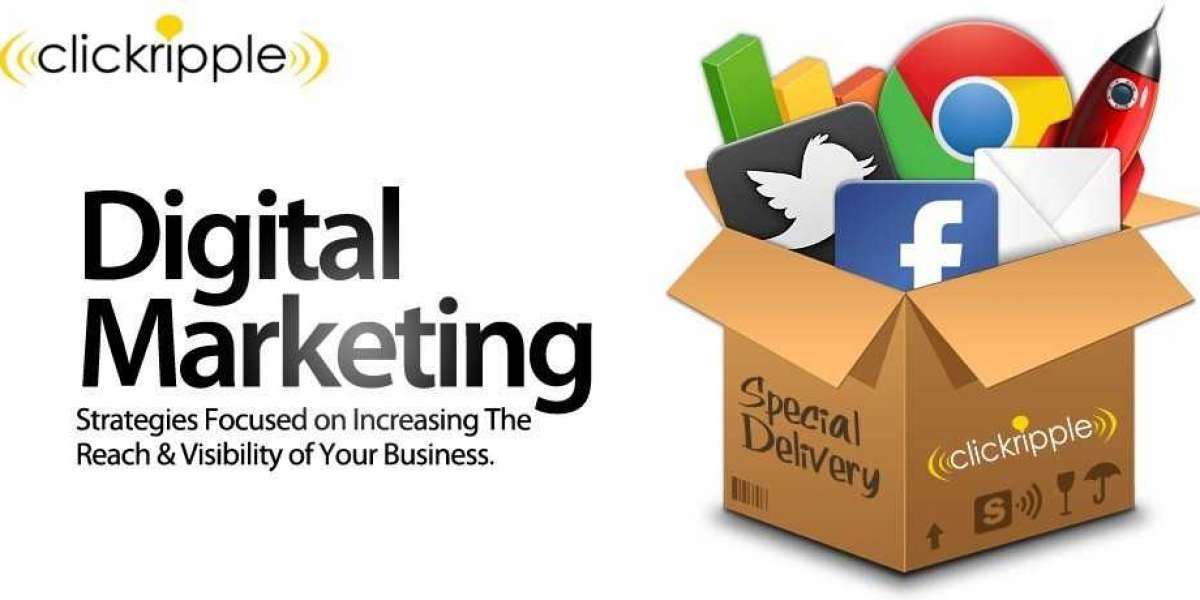 3 Crucial Qualities To Look For In A eCommerce Web Design Agency