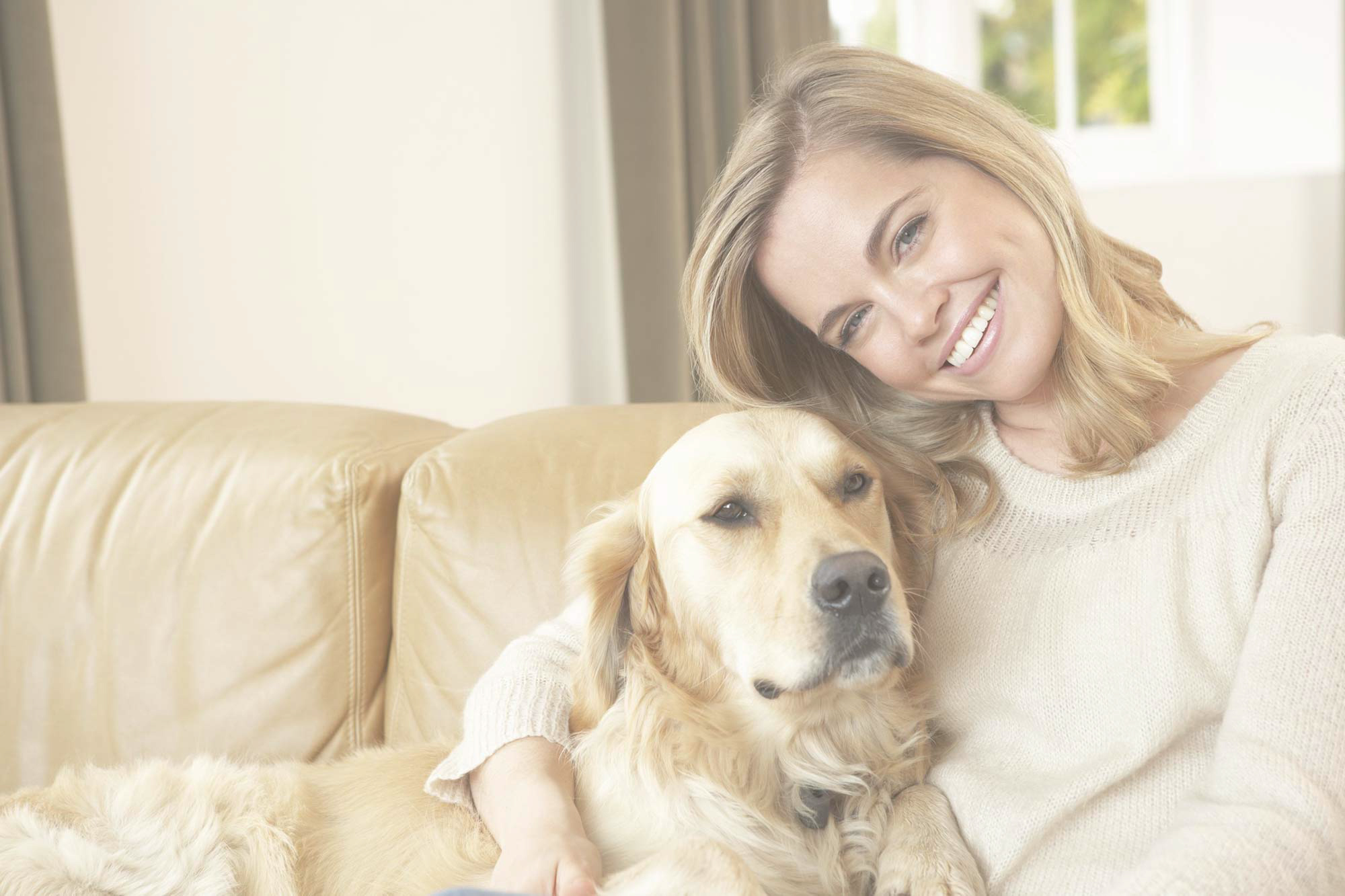 Pet Friendly Rehabs | Rehab Centers That Allow Pets