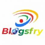 Blogs Fry Profile Picture