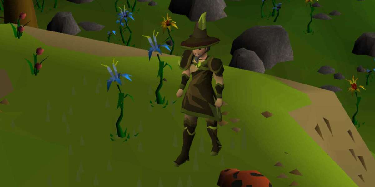 People actually dm’ed. Many times in RuneScape now a-days I'll ask anyone "dm?"