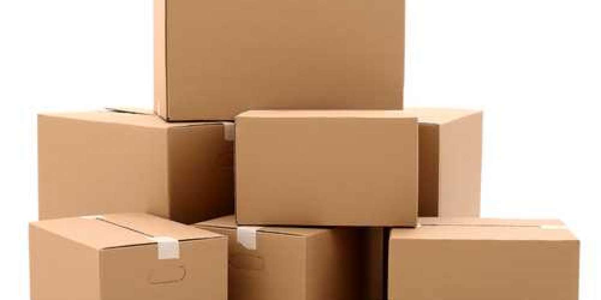 What Are The Various Carton Boxes in Use?