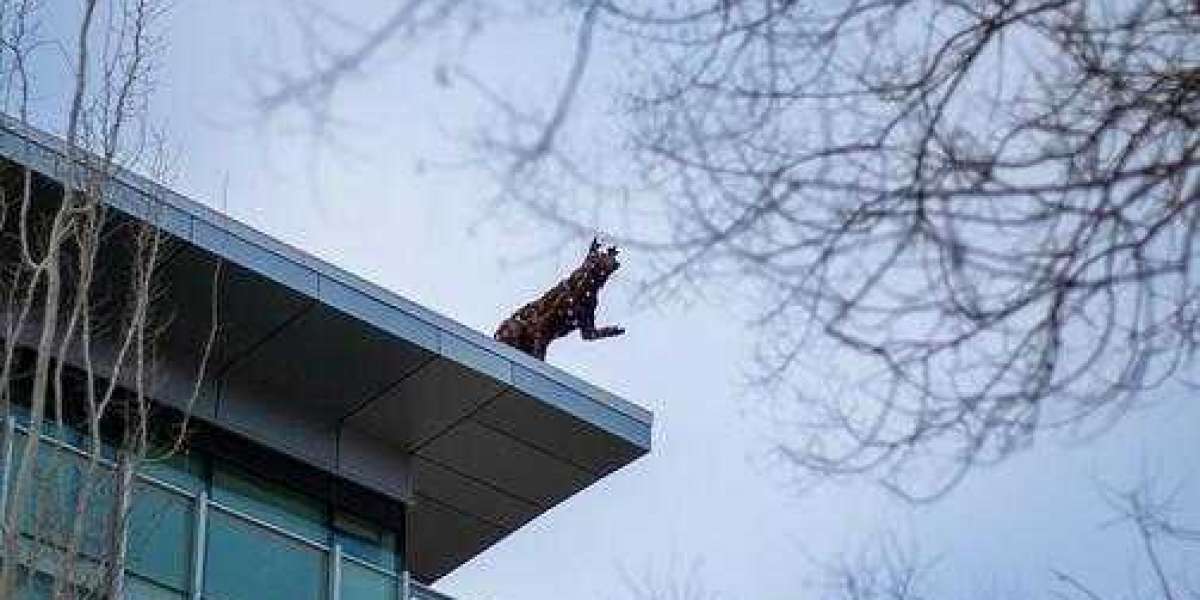 Shai Gilgeous-Alexander vs. De'Aaron Fox: Via the Quantities