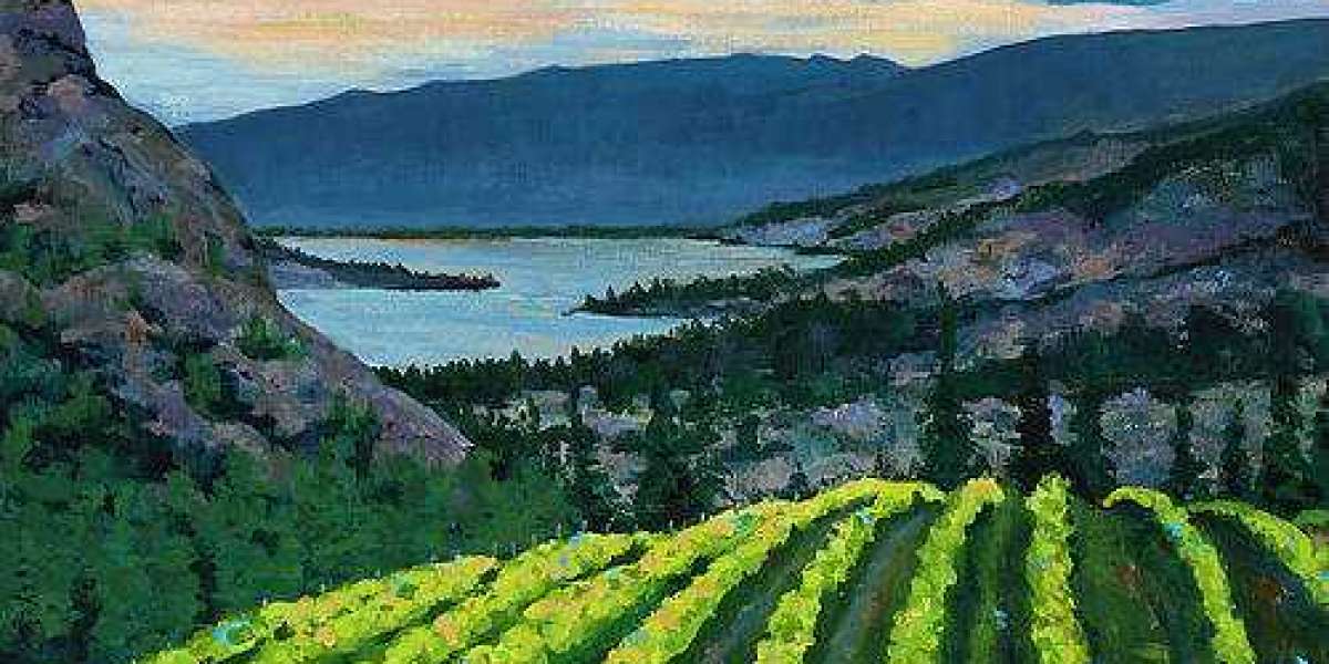 Raptors Carry on in the direction of be Difficult in direction of Choose, Slipping toward Lillard-fewer Path Blazers