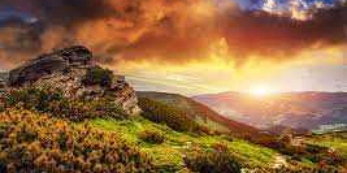 Raptors Starters Move forward toward Persevere as Gary Trent Jr. Prospects Toronto Previous Hawks