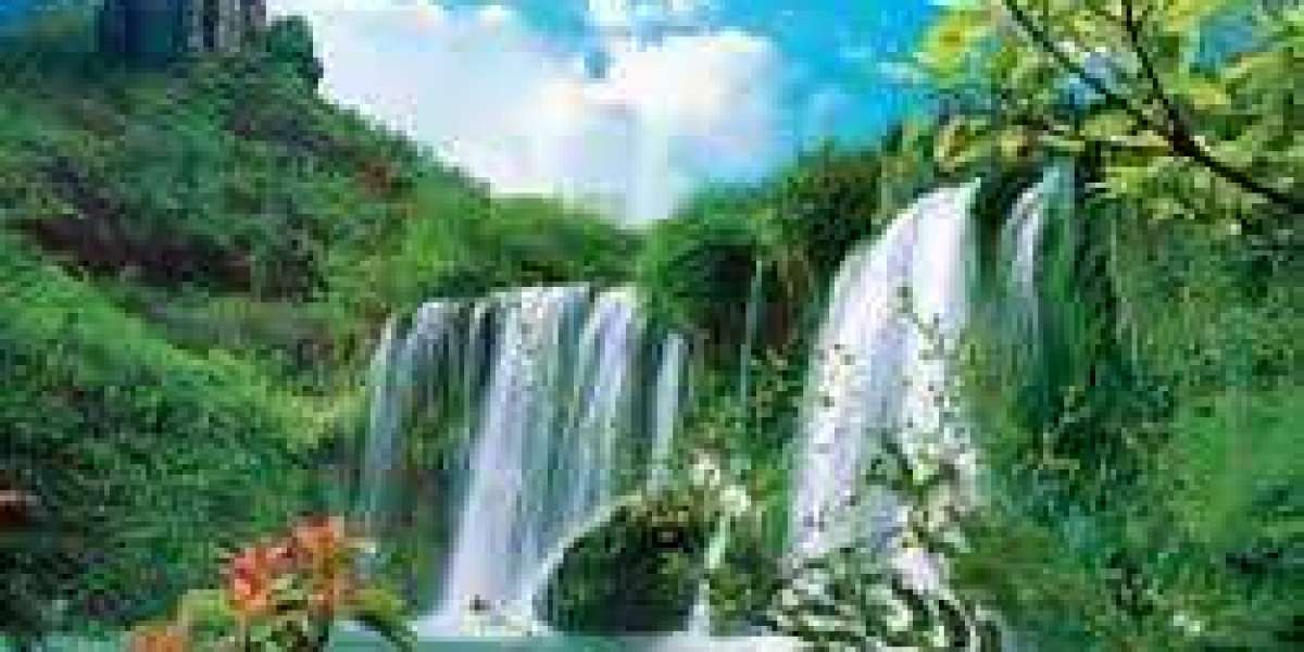 Grizzlies 139 - Wolves 135: Expanding Youth