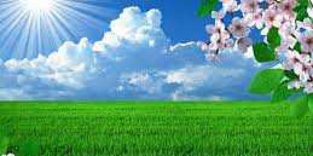 Wizards may possibly contain found out nearly anything one of a kind inside Daniel Gafford