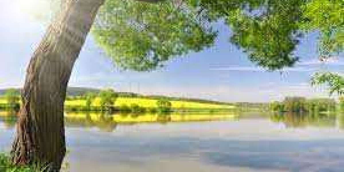 Magic 124, Warriors 120: Fournier very first-50 percent, Vucevic triple-double, Okeke 2-direction participate in powers 