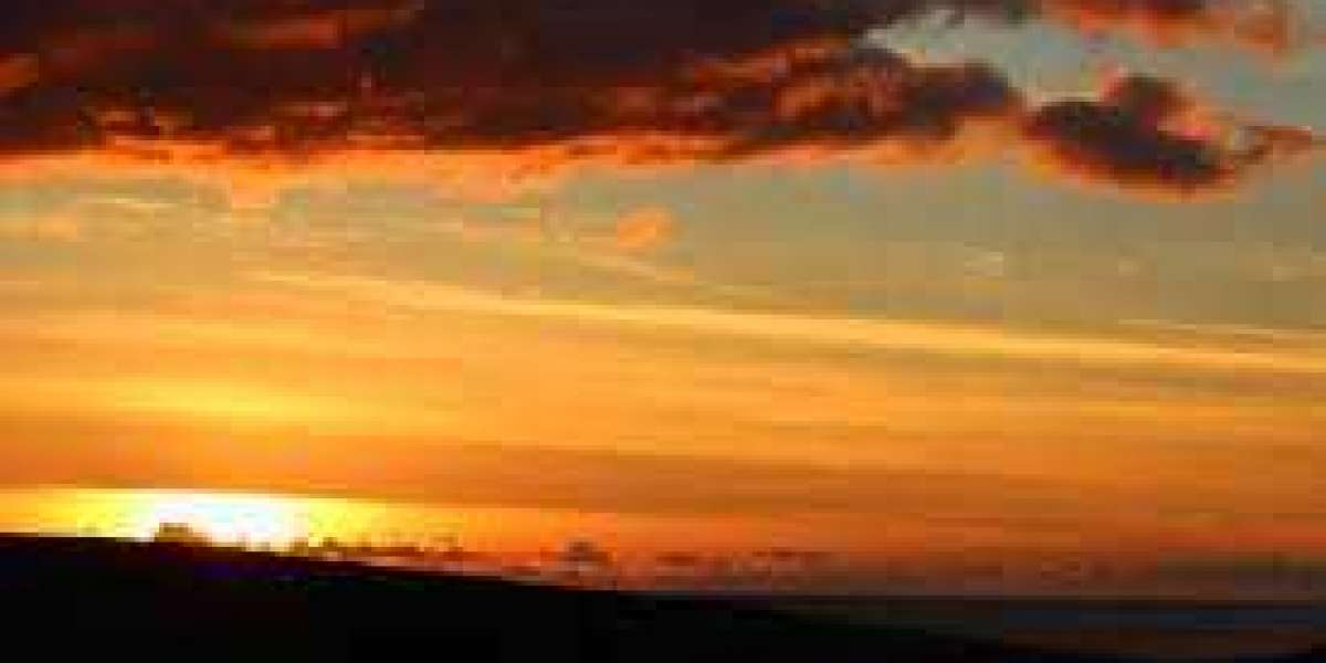 COVID Affecting NBA, Screening Could possibly Be Enhanced