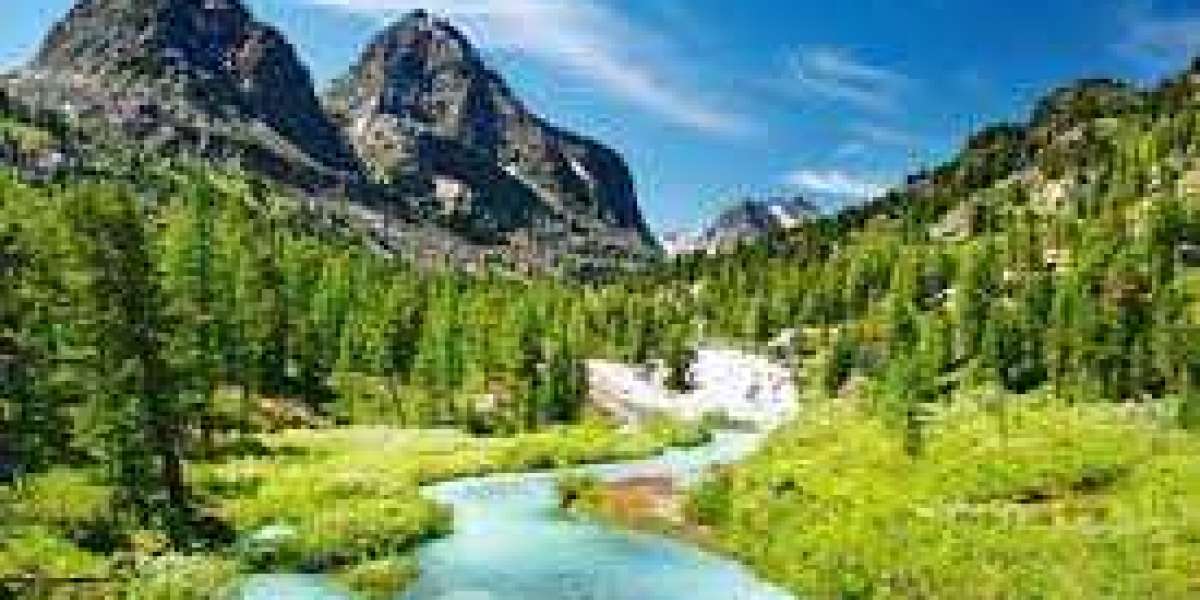 Pelicans crumble down the extend of legislation within heartbreaking design and style, get rid of 118-116 toward Pacers 