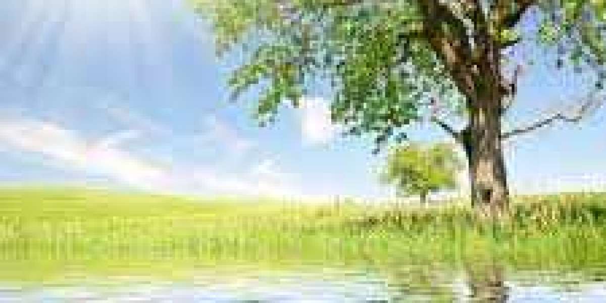 5 issues regarding the Spursmatchup towards the Memphis Grizzlies