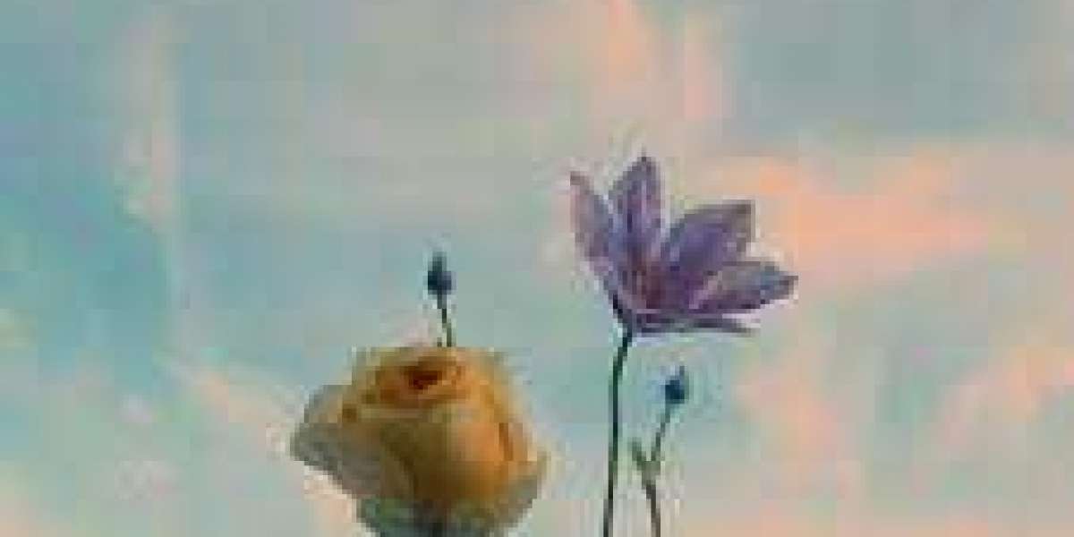 Brandon Belt seeking for an NLCS return