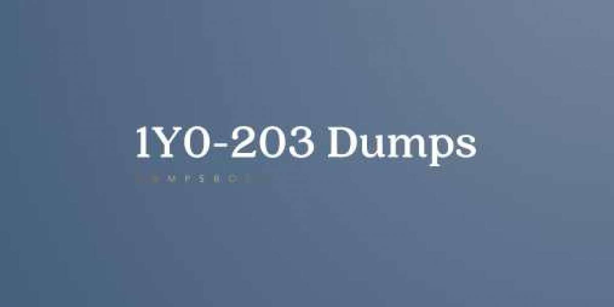 Citrix 1Y0-203 Dumps Free Demo
