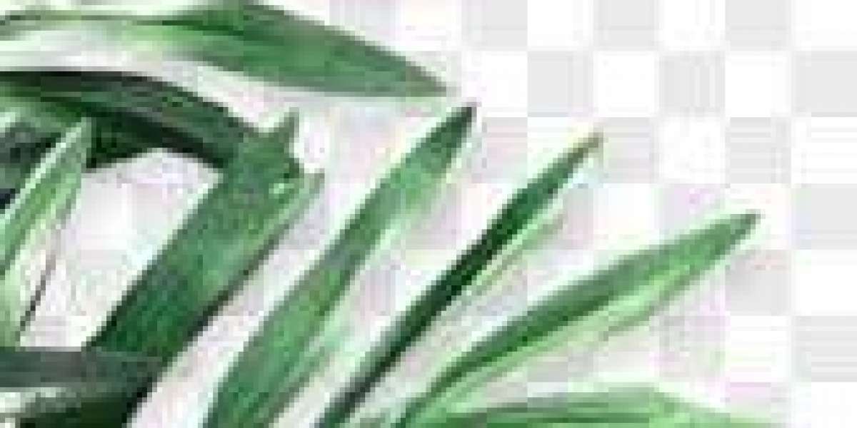 How towards Perspective Johns Hopkins at Rutgers within just Higher education Lacrosse: Stay Movement, Television Channe