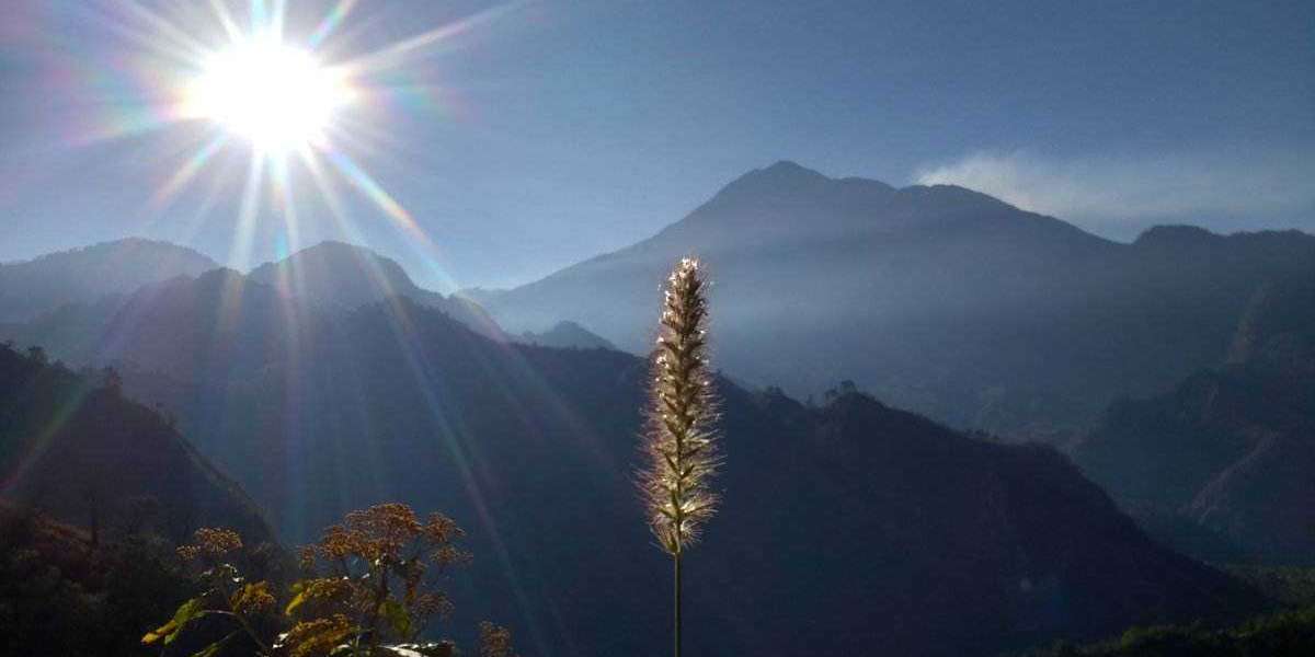 Titans Safety Data To start with Property Shutout In just 2 Many years