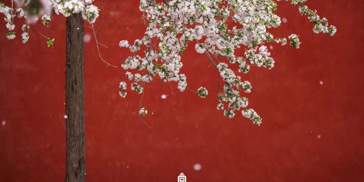 Eagles 2022 very first-spherical opt for tracker: 7 days 4 version