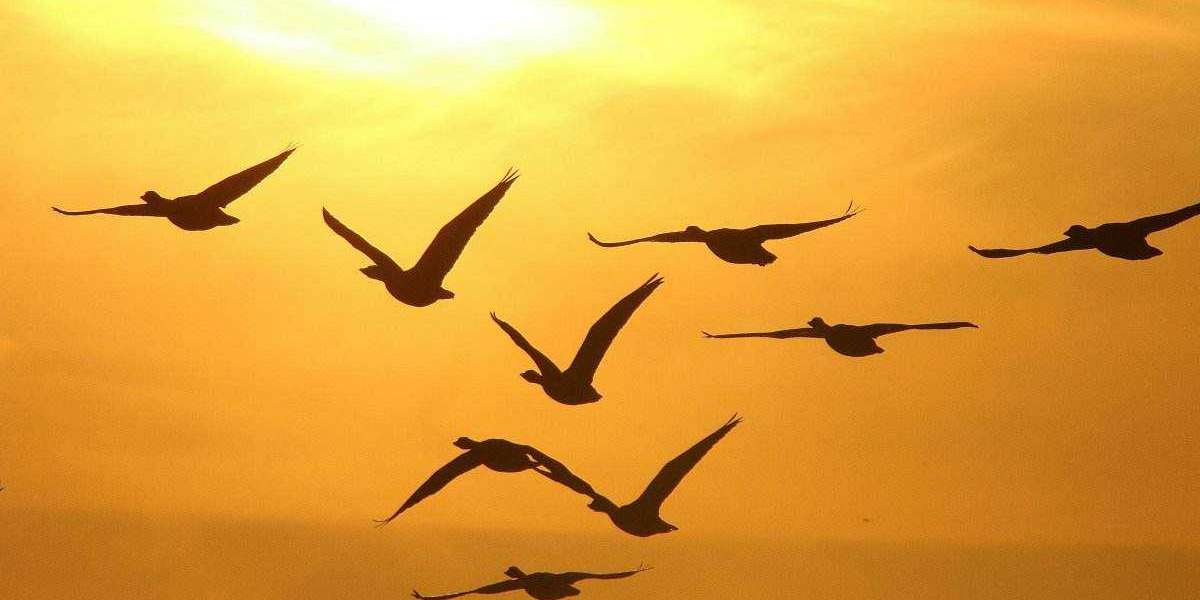 Scouting Jets defensive finish Jacob Martin