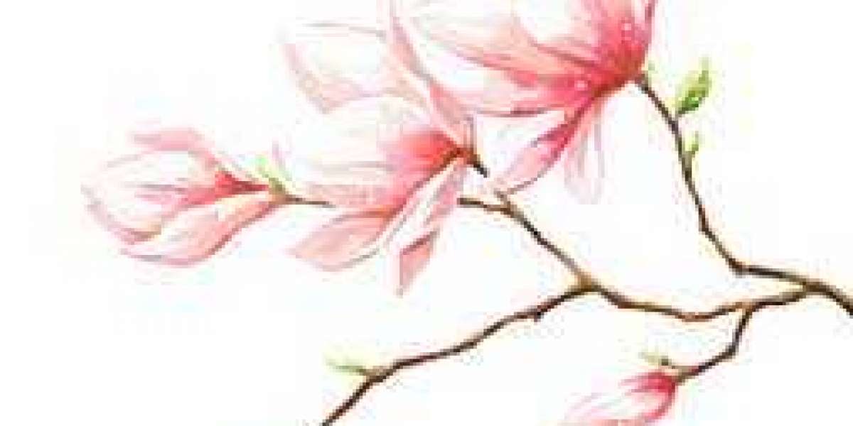 Hughes ratings 2, lifts Devils very last Blackhawks inside OT