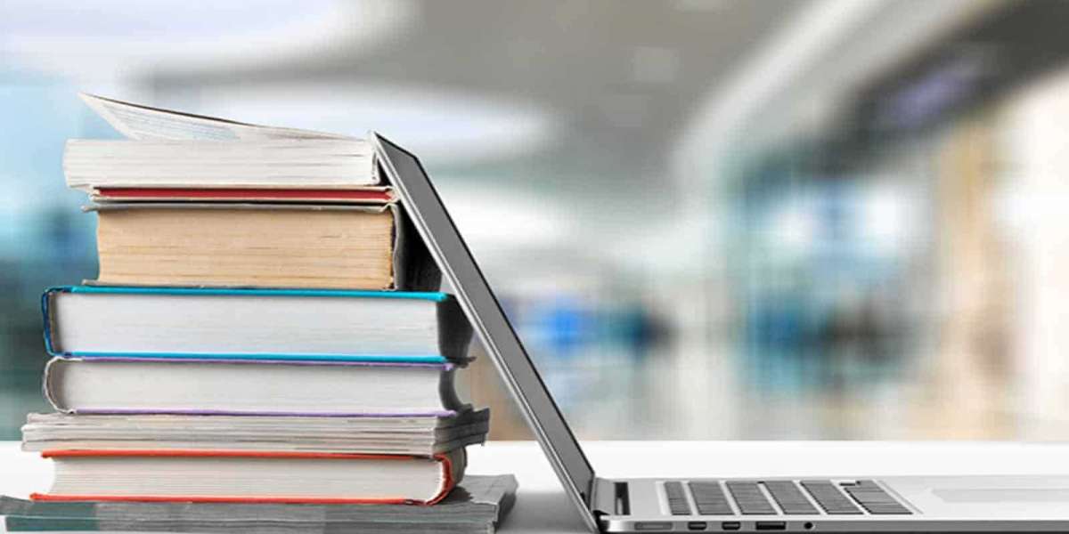 Social Studies Essay Plan