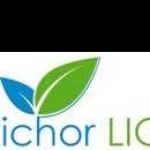 bethanyali Profile Picture