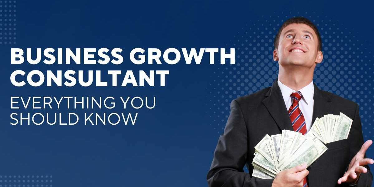 Business Growth Consultant