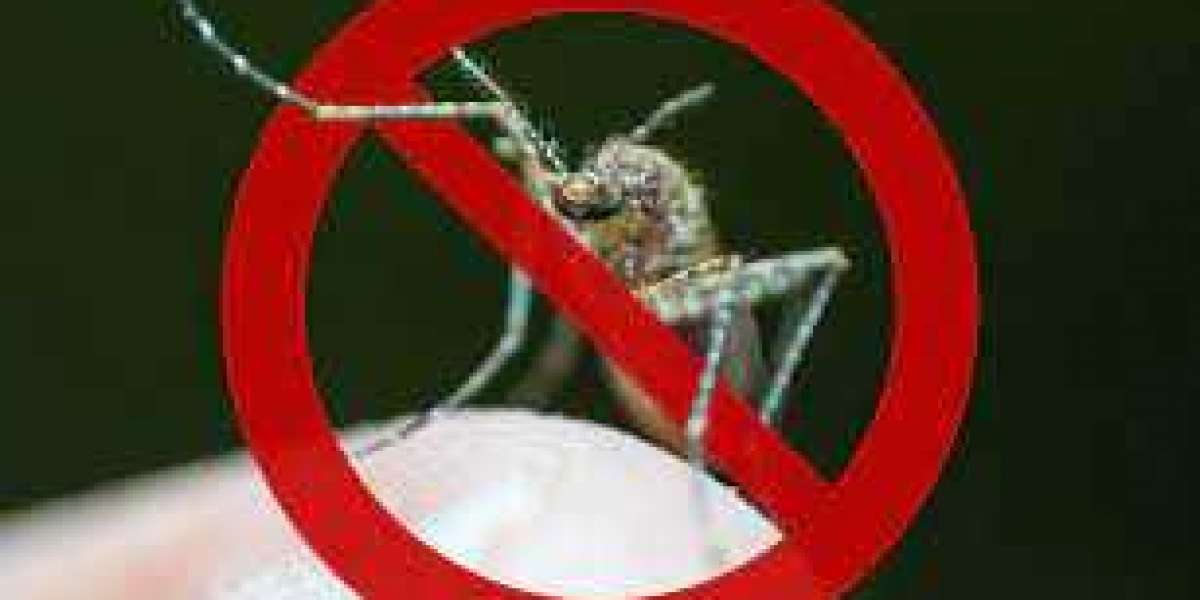 When to Immediately Call a Pest Control Service?