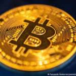 bitcoinimmediate Profile Picture