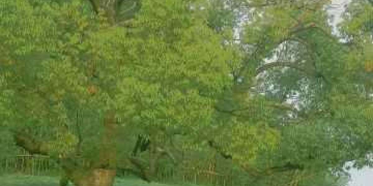 Raiders draft 2022: Position prerequisites