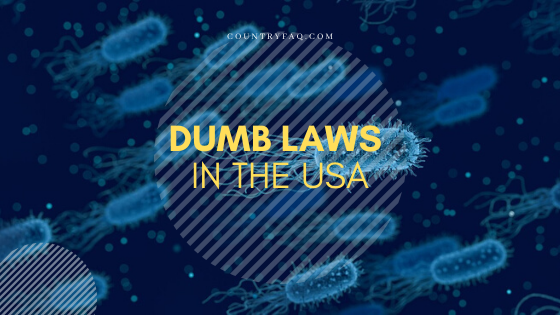 Dumb Laws in the US You Should Know before Travel - Country FAQ