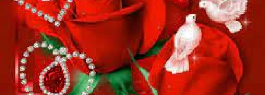 shandi23 Cover Image