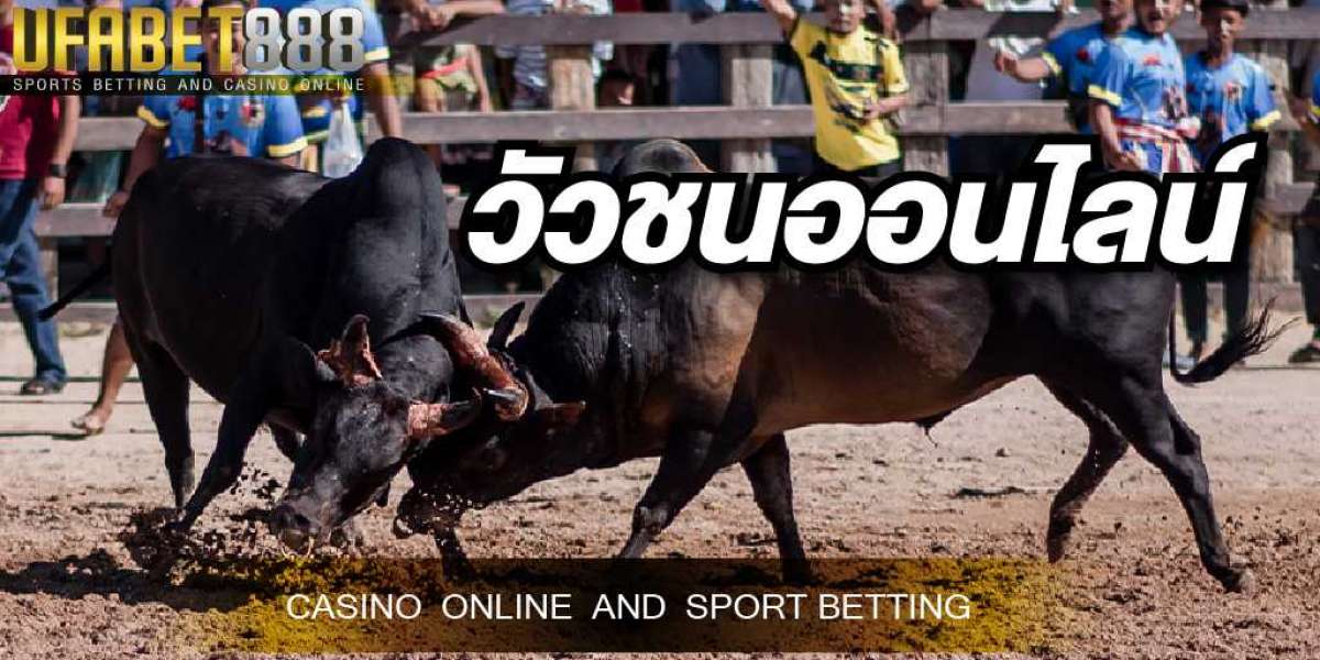 เว็บวัวชนออนไลน์888