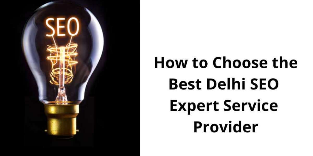 How to Choose the Best Delhi SEO Expert Service Provider