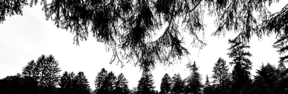 K. Dixon Funeral Director Cover Image