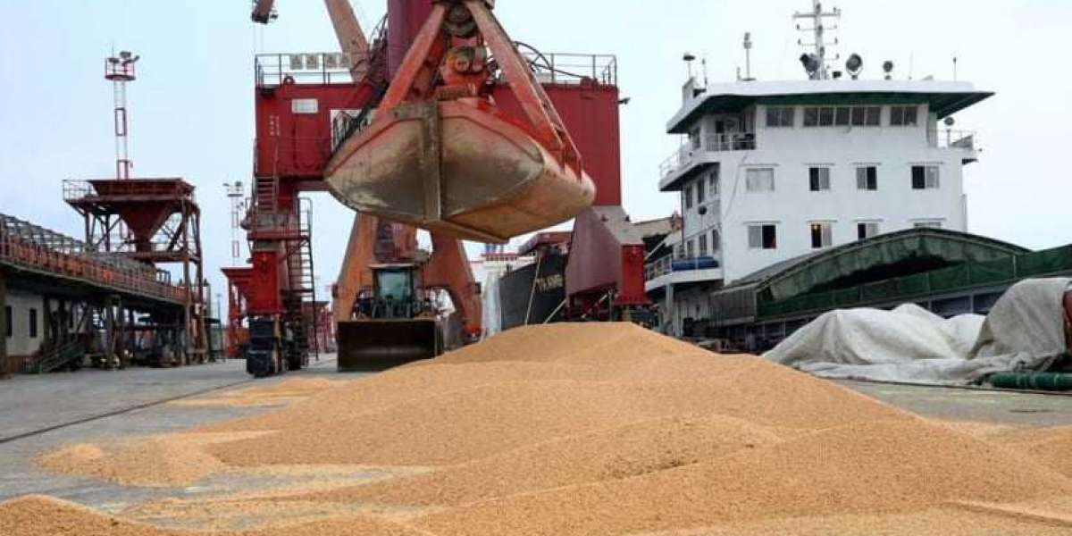 China's July soybean imports slide amid poor crush margins, weaker demand