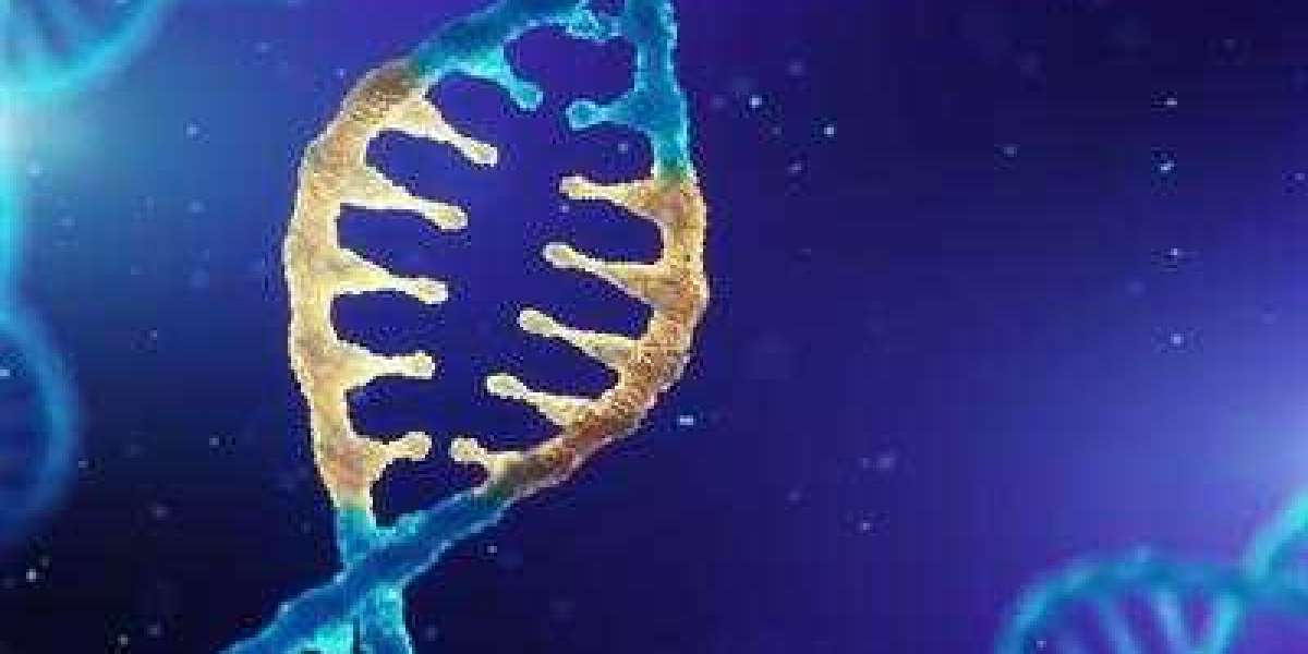 Global Epigenomics Market To be Driven by the Growing Need To Study Complex Diseases in the Forecast Period Of 2022-2027